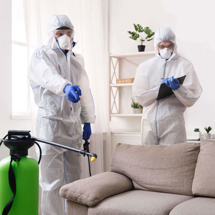 Welcome To Hi - Tech Pest  Control