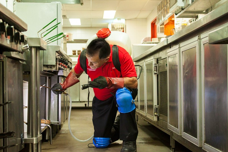 Commercial Pest Control Services