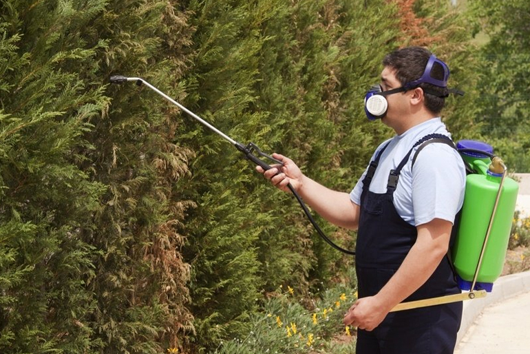 Organic Pest Control Services