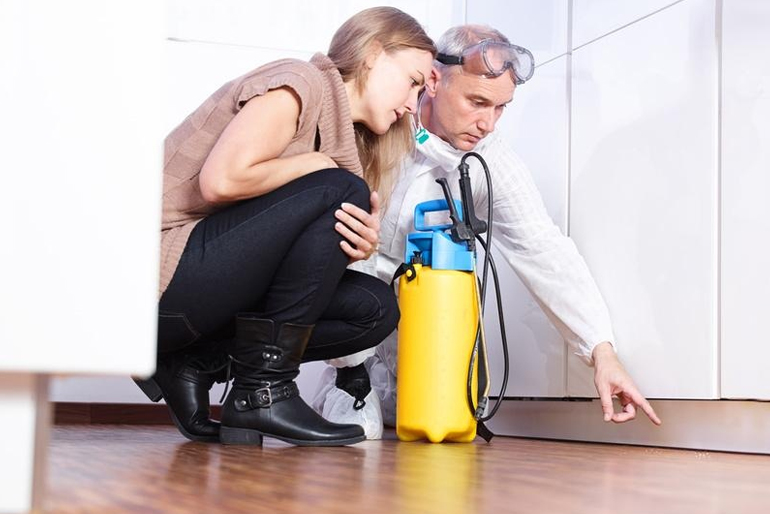 Residential Pest Control Services