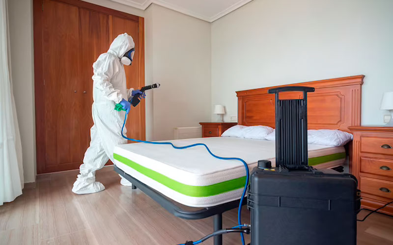 Pest Control Services For Hotel