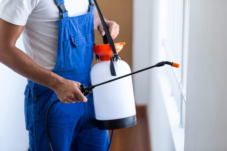 Best Pest Control Services In Pune